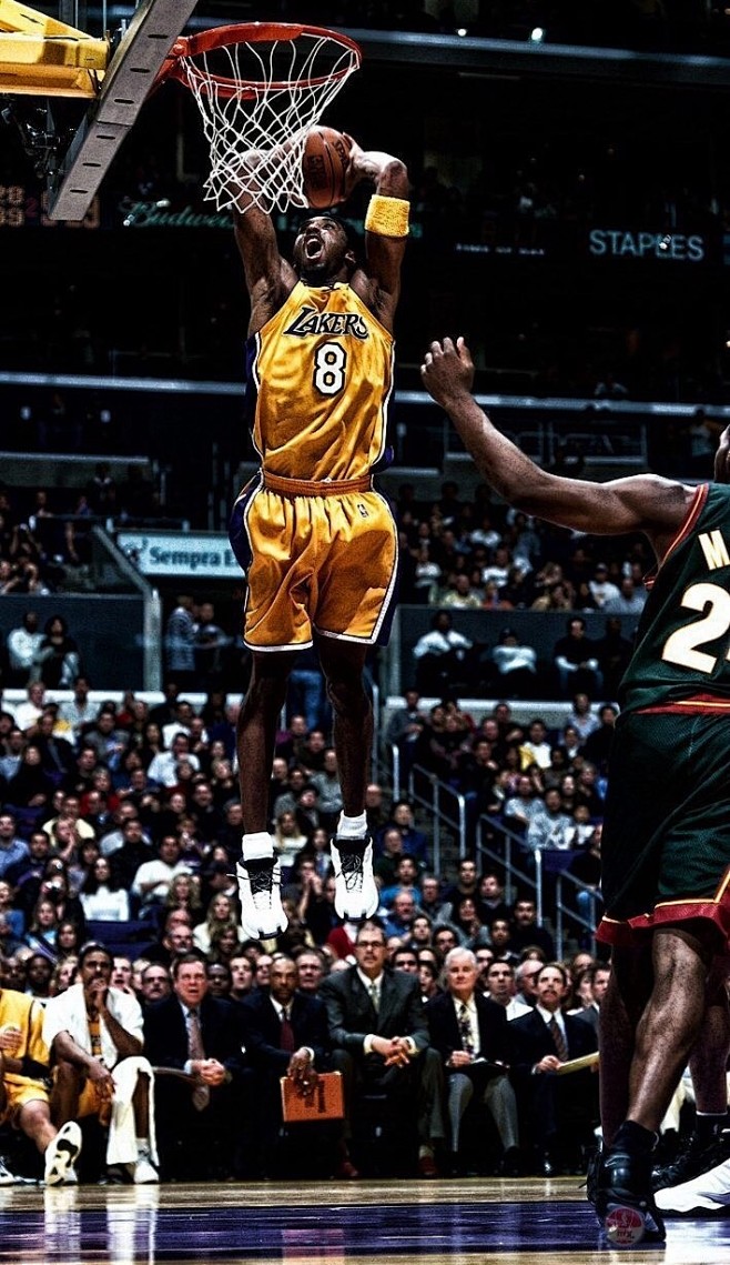 的冷静处置 的冷静处置